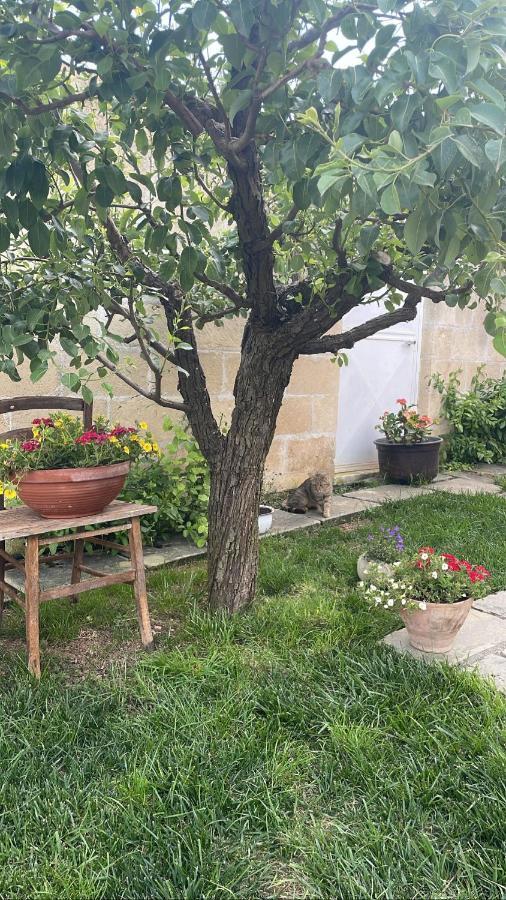 Bio&B Acquaviva Bed and Breakfast Otranto Exteriör bild